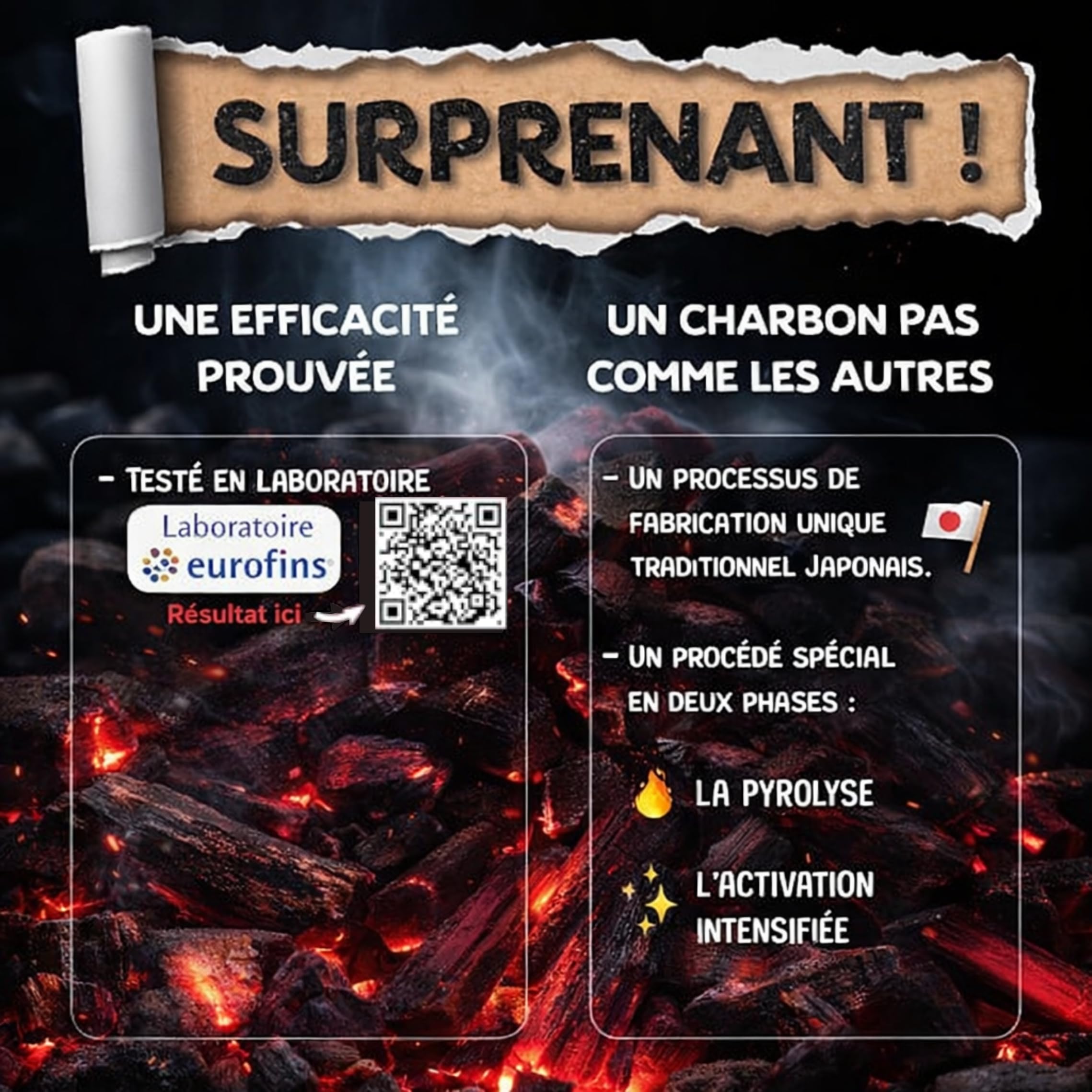 baytiz-binchotan-xl-b-ton-charbon-actif-eau-robinet-chlore image 3